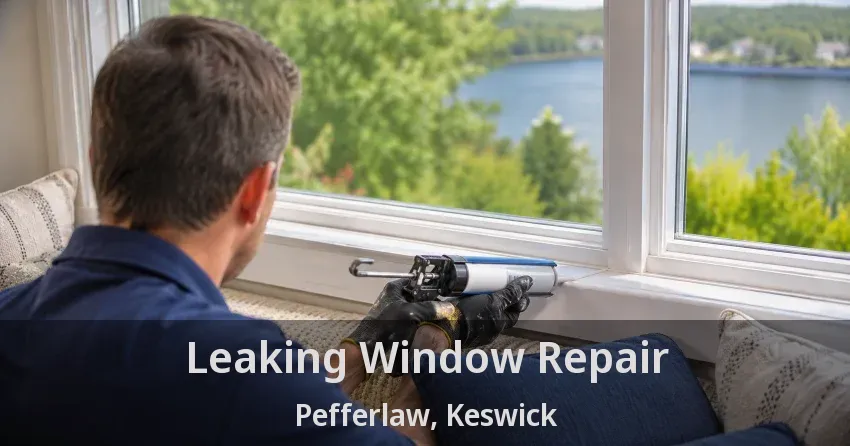 Leaking Window Repair Pefferlaw, Keswick - ON