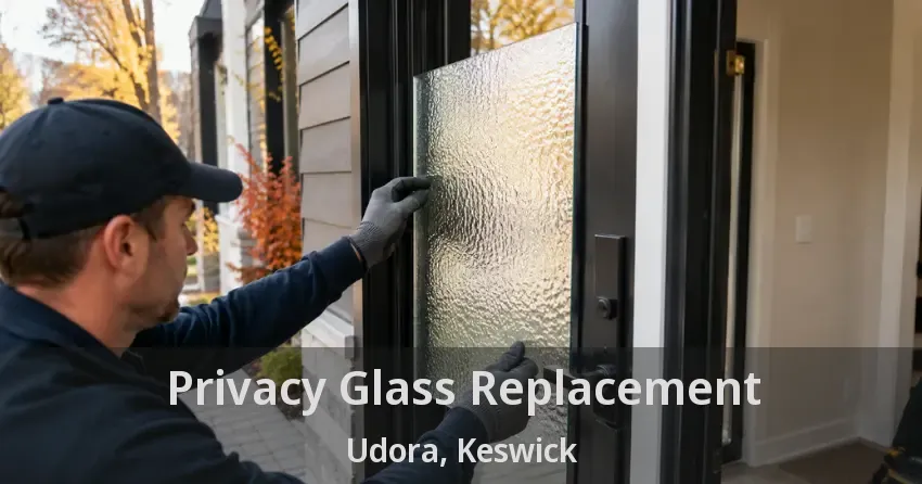 Privacy Glass Replacement Udora, Keswick - ON