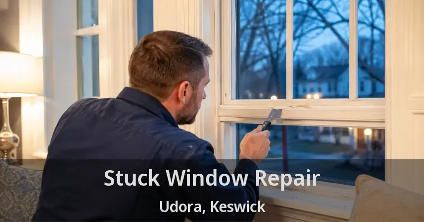 Stuck Window Repair Udora, Keswick - ON